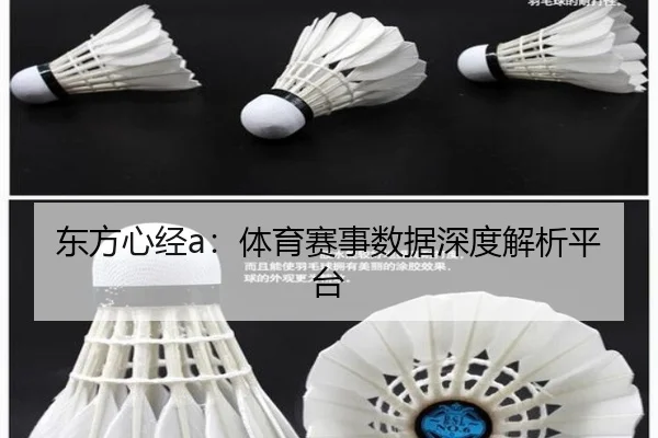 东方心经a：体育赛事数据深度解析平台