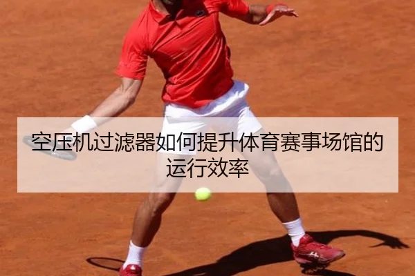 空压机过滤器如何提升体育赛事场馆的运行效率