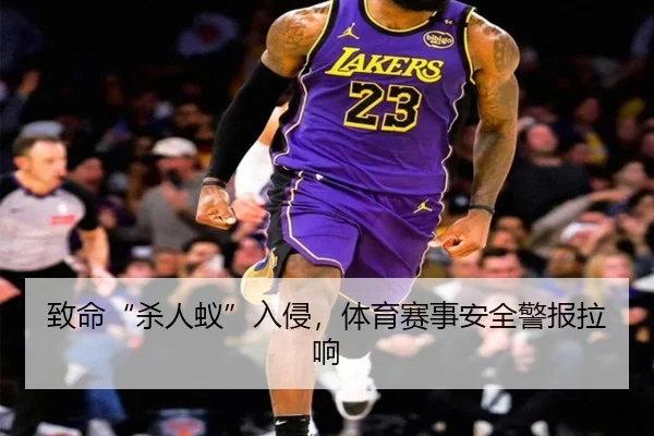 致命“杀人蚁”入侵，体育赛事安全警报拉响