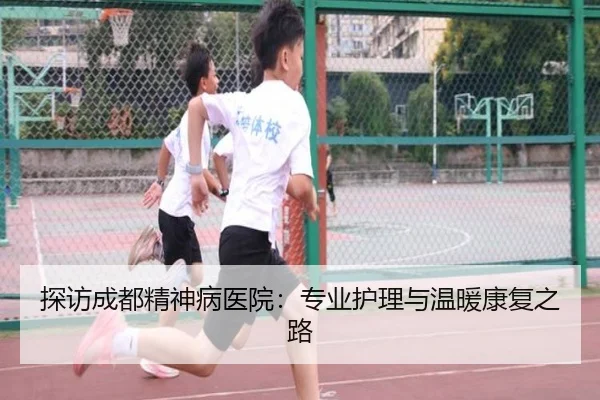 探访成都精神病医院：专业护理与温暖康复之路