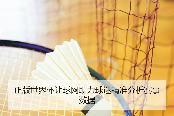 正版世界杯让球网助力球迷精准分析赛事数据